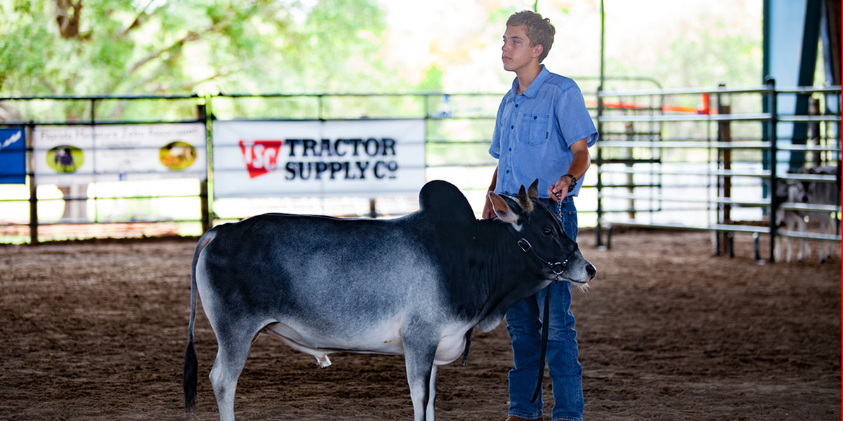 AMZA Sanctioned Shows