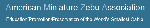 American Miniature Zebu Association