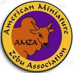 AMZA color patch
